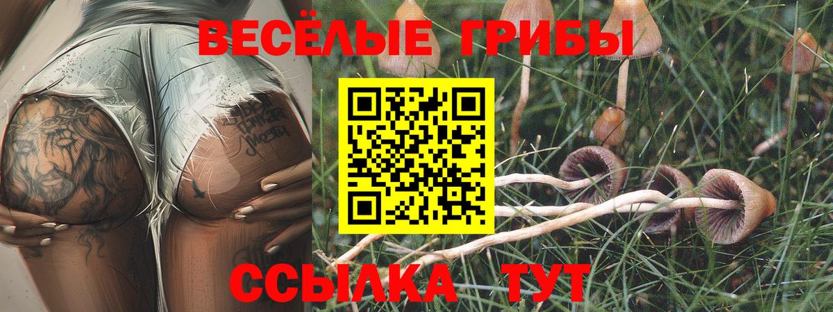 Галлюциногенные грибы MAGIC MUSHROOMS Гай